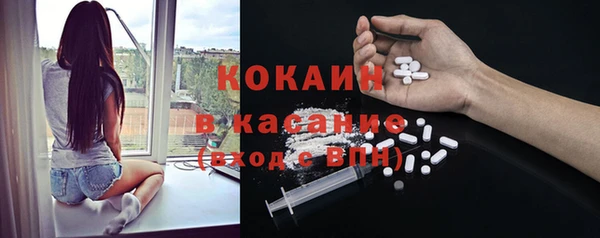 mdpv Богородск