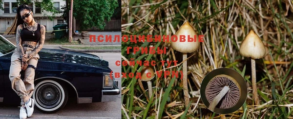 первитин Богородицк