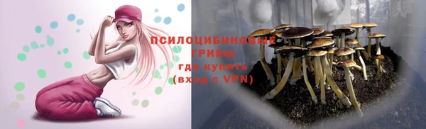ешки Богданович