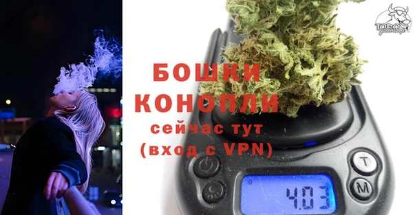 ешки Богданович