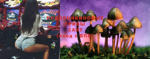 первитин Богородицк