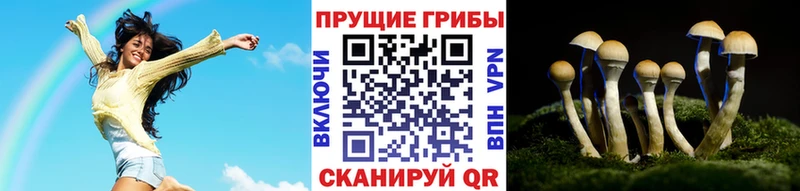 ОМГ ОМГ онион Киренск Галлюциногенные грибы GOLDEN TEACHER
